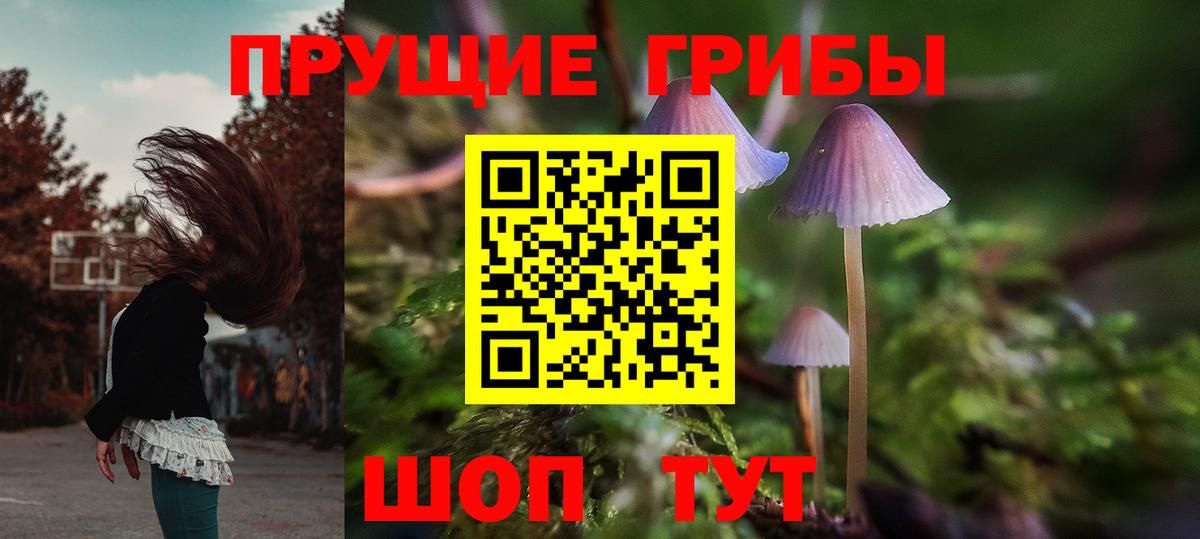Псилоцибиновые грибы ЛСД  Вход с VPN  Ейск 